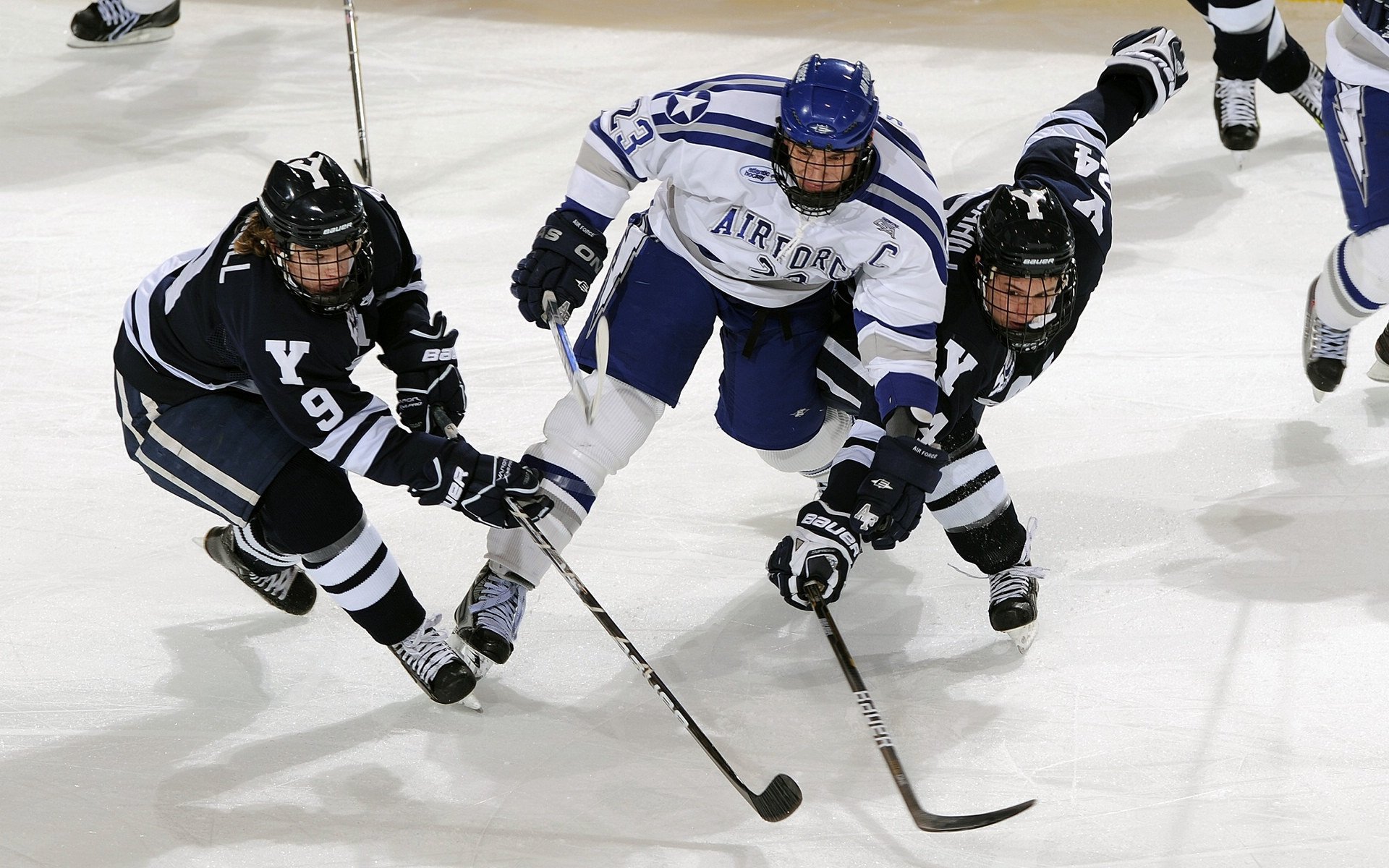 孙兴慜一剑封喉，比利时末节风暴碾碎卡塔尔世界杯梦